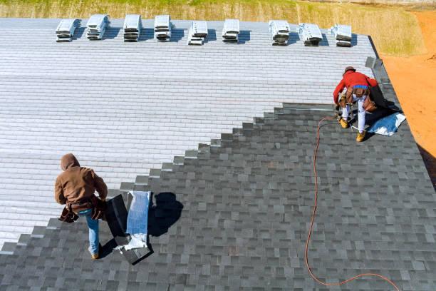 Best Roof Gutter Cleaning  in Katy, TX